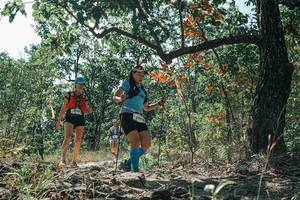 BIB: 
                            <button type="button" onclick="openModal(26113624)" class="btn btn-primary btn-sm float-right btn-popup" data-toggle="modal" data-target=".modal-high-quality">
                        <i class="fas fa-shopping-cart"></i> Add to Cart
                    </button>
                                            <button type="button" onclick="isThisMe(26113624, true)" class="btn btn-success btn-sm float-right btn-popup btn-isme hidden" data-toggle="tooltip" data-placement="bottom" title="นี่คือรูปของคุณใช่ไหม คลิกที่นี่เพื่อเอาเข้าอัลบั้ม">
                        <i class="fas fa-plus"></i> Add to album
                    </button>
                    <button type="button" onclick="isThisMe(26113624, false)" class="btn btn-warning btn-sm float-right btn-popup btn-isnotme hidden">
                        <i class="fas fa-ban"></i> Remove from album
                    </button>